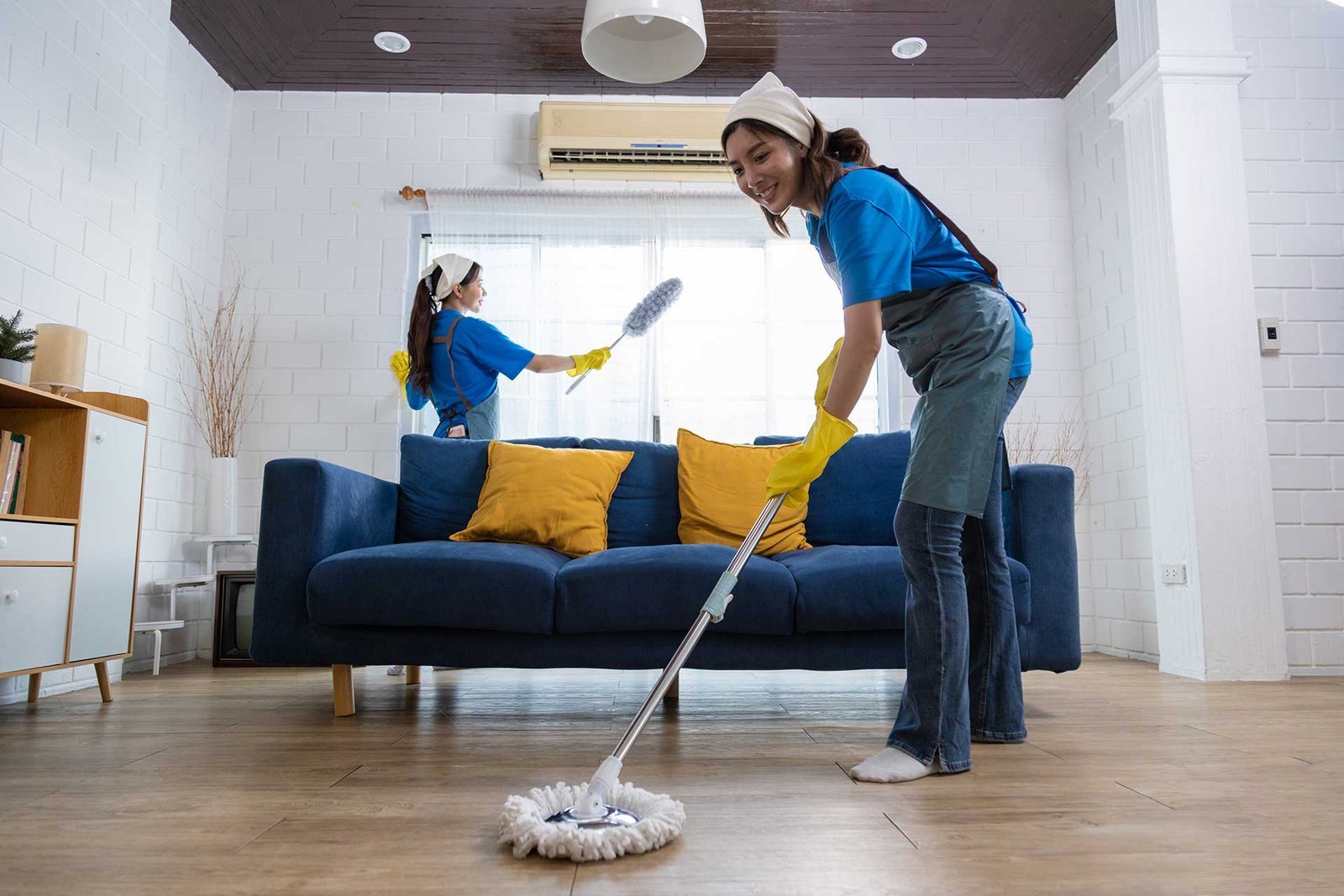 The Importance of Professional Cleaning for Homes